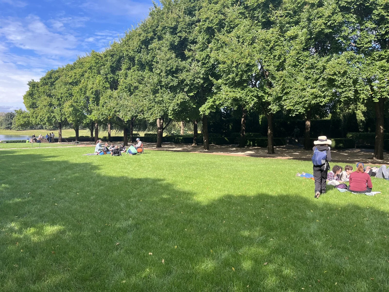 Groups gather beneath trees in a sunny park, with one person standing among them.